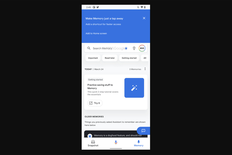 Google Assistant's Memory feature will let you save anything