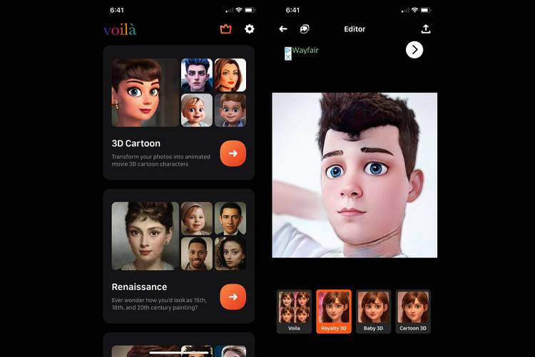 What is Voila AI Artist and how to cartoon your pics with it