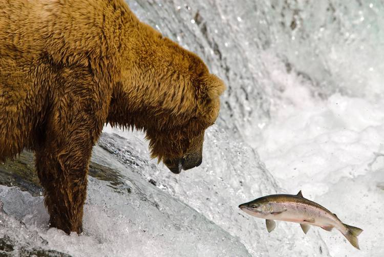 The art of stock photography