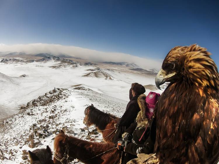 56 of the best GoPro photos in the world, prepare to lose your breath