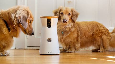 Best pet gadgets 2024