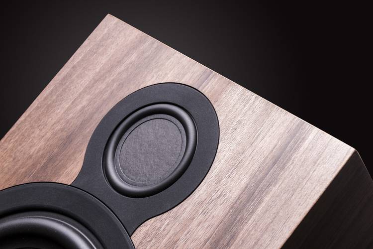 Balanced Mode Radiator Balanced Mode Radiator speaker tech explained: What is it and does it ...