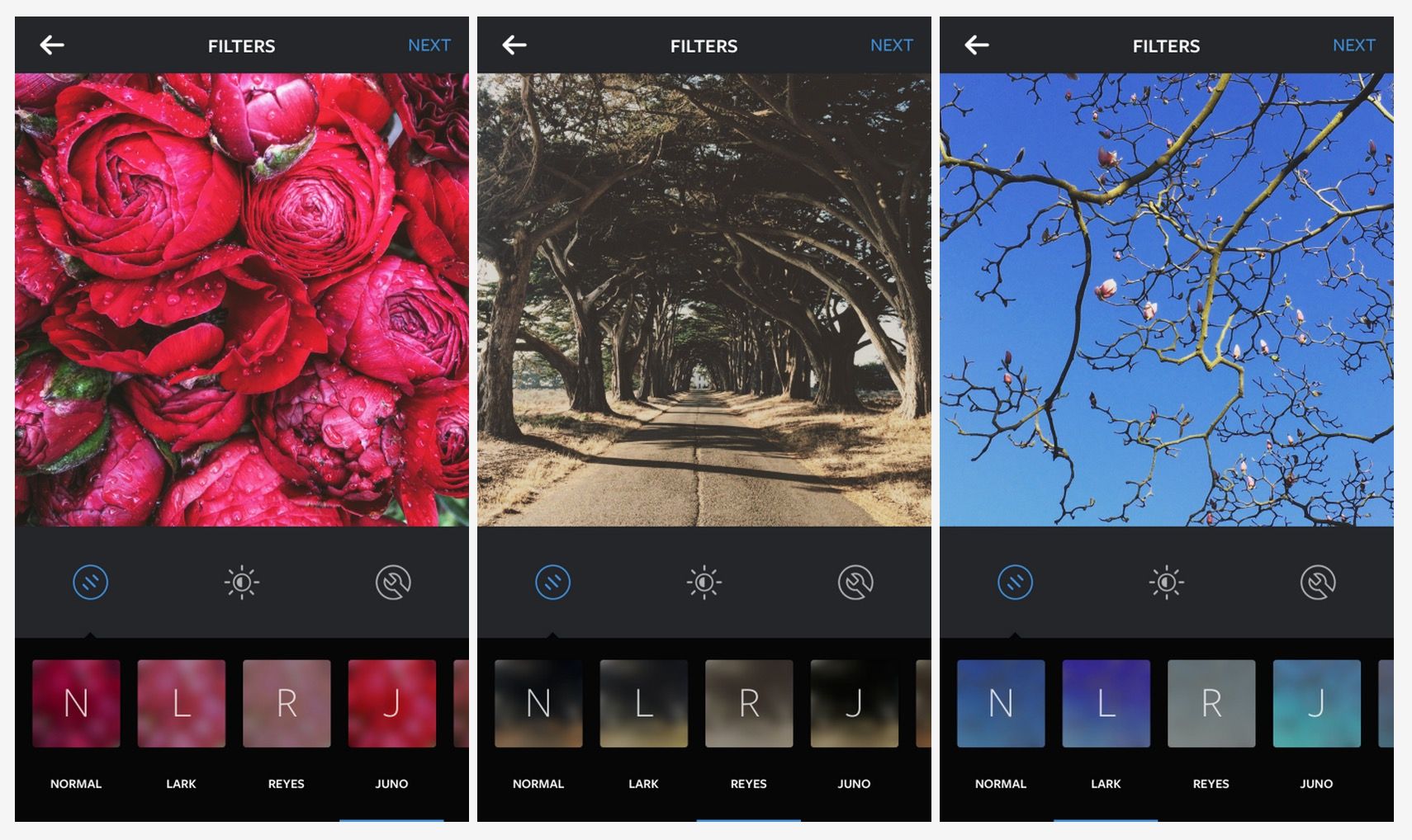 instagram adds new lark reyes and juno filters here s what they can do to your photos image 3