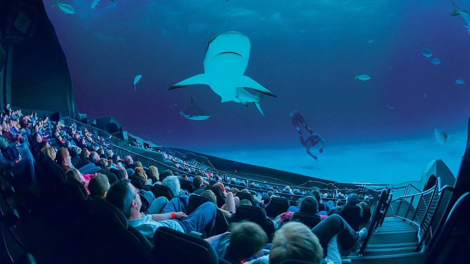 IMAX laser projectors and 12-channel surround sound to arrive in UK by ...