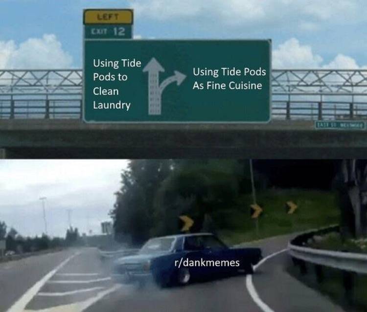 The Best Stupidest And Most Famous Internet Memes Around image 2