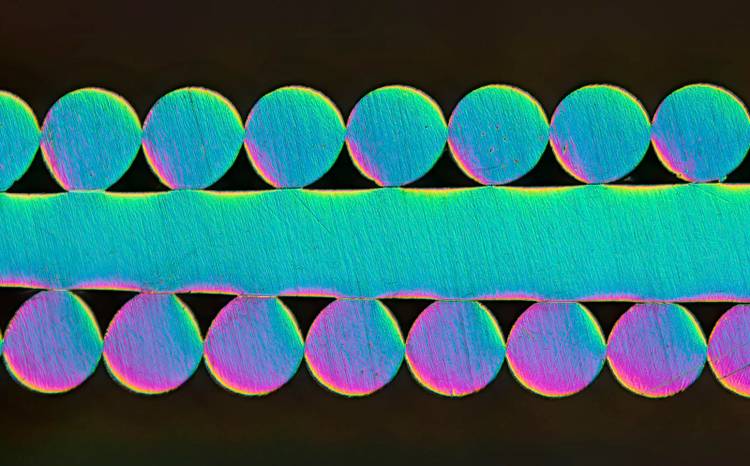 The best science images of the year: Astounding photos from the Royal ...