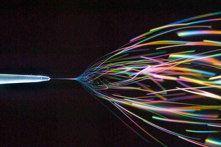 The best science images of the year: Astounding photos from the Royal ...