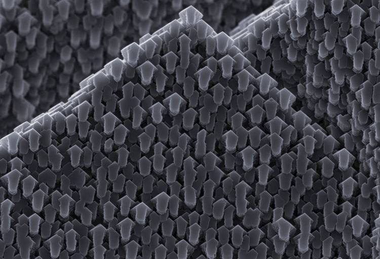 The best science images of the year: Astounding photos from the Royal ...