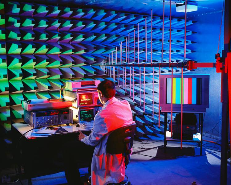 The best science images of the year: Astounding photos from the Royal ...