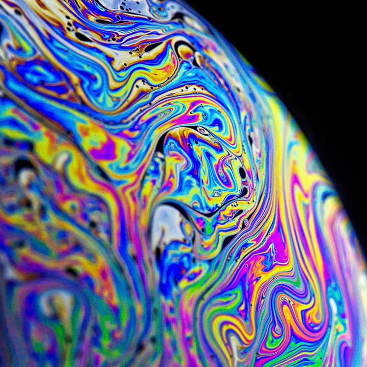 The best science images of the year: Astounding photos from the Royal ...