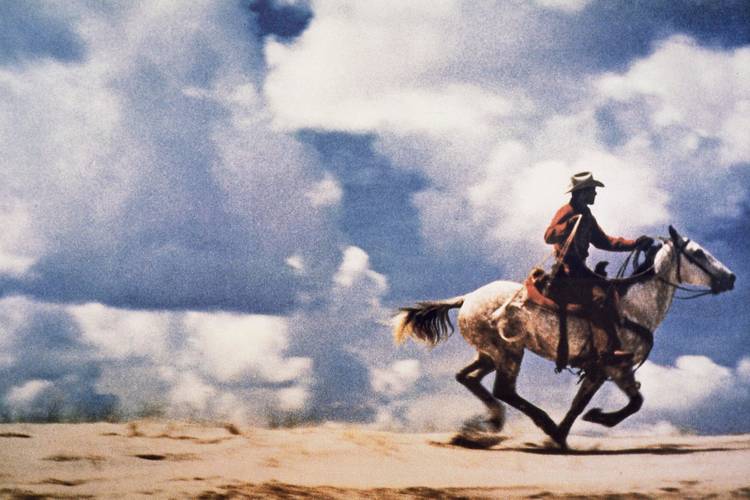 The 24 most expensive photos that sold for millions
