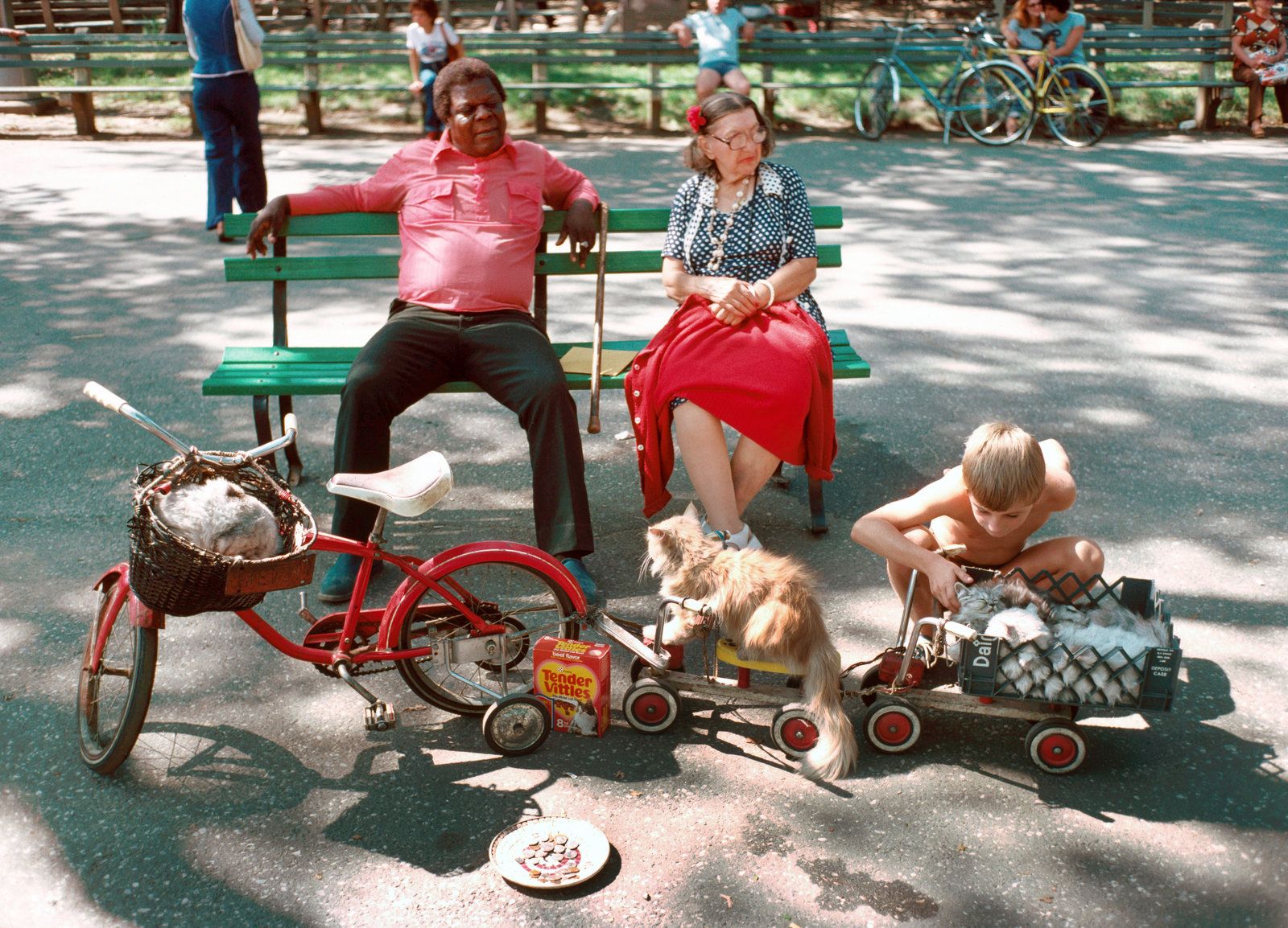 Lost and Found - The missing NYC Parks photos image 10