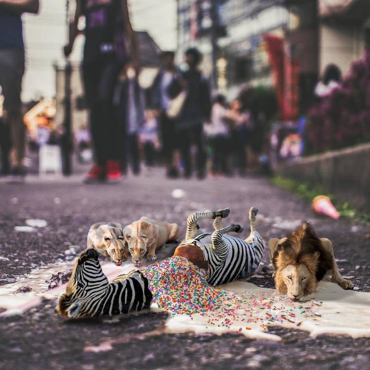 trippy photographers