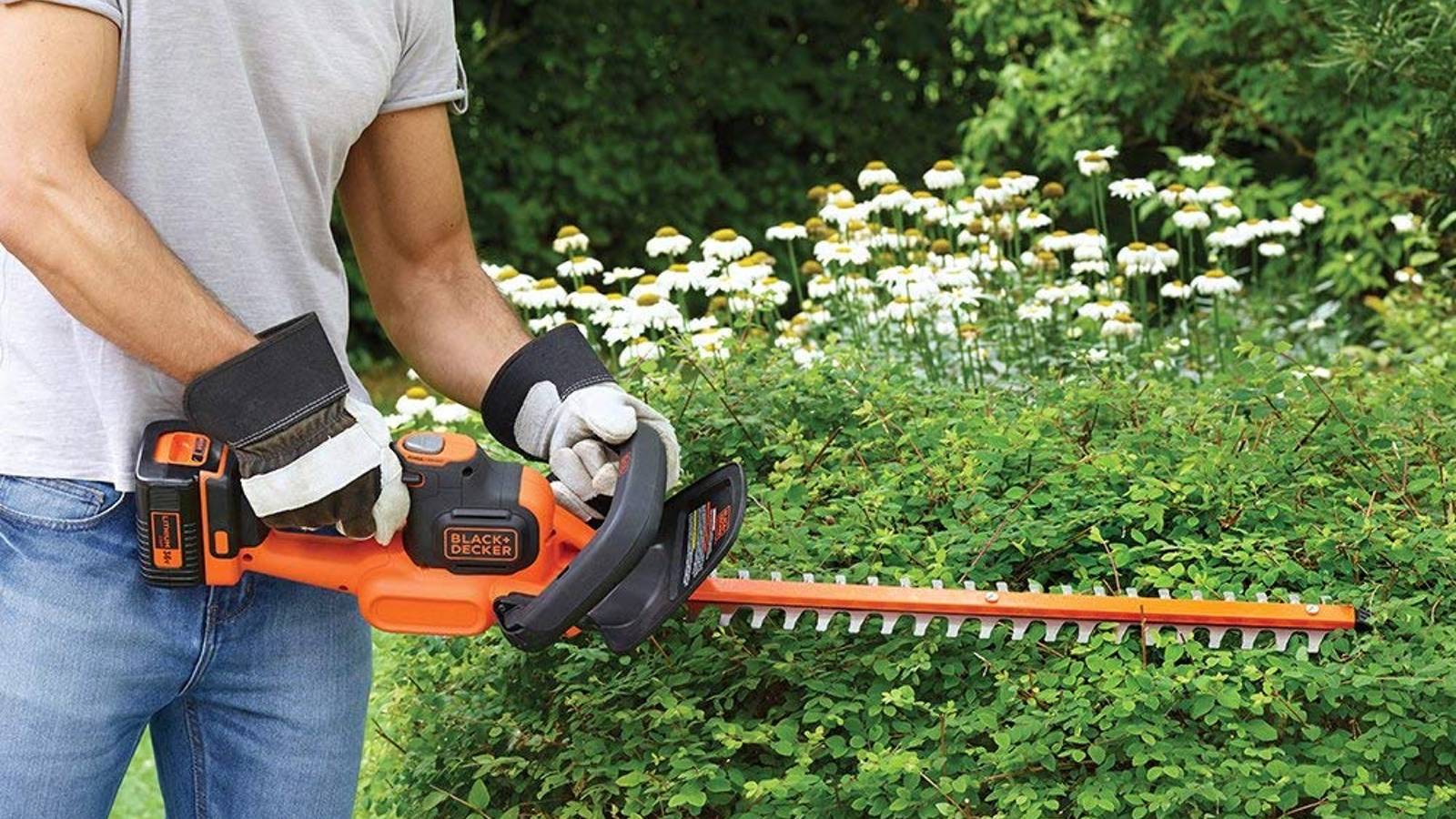 Best cordless hedge trimmer 2024: Control your garden