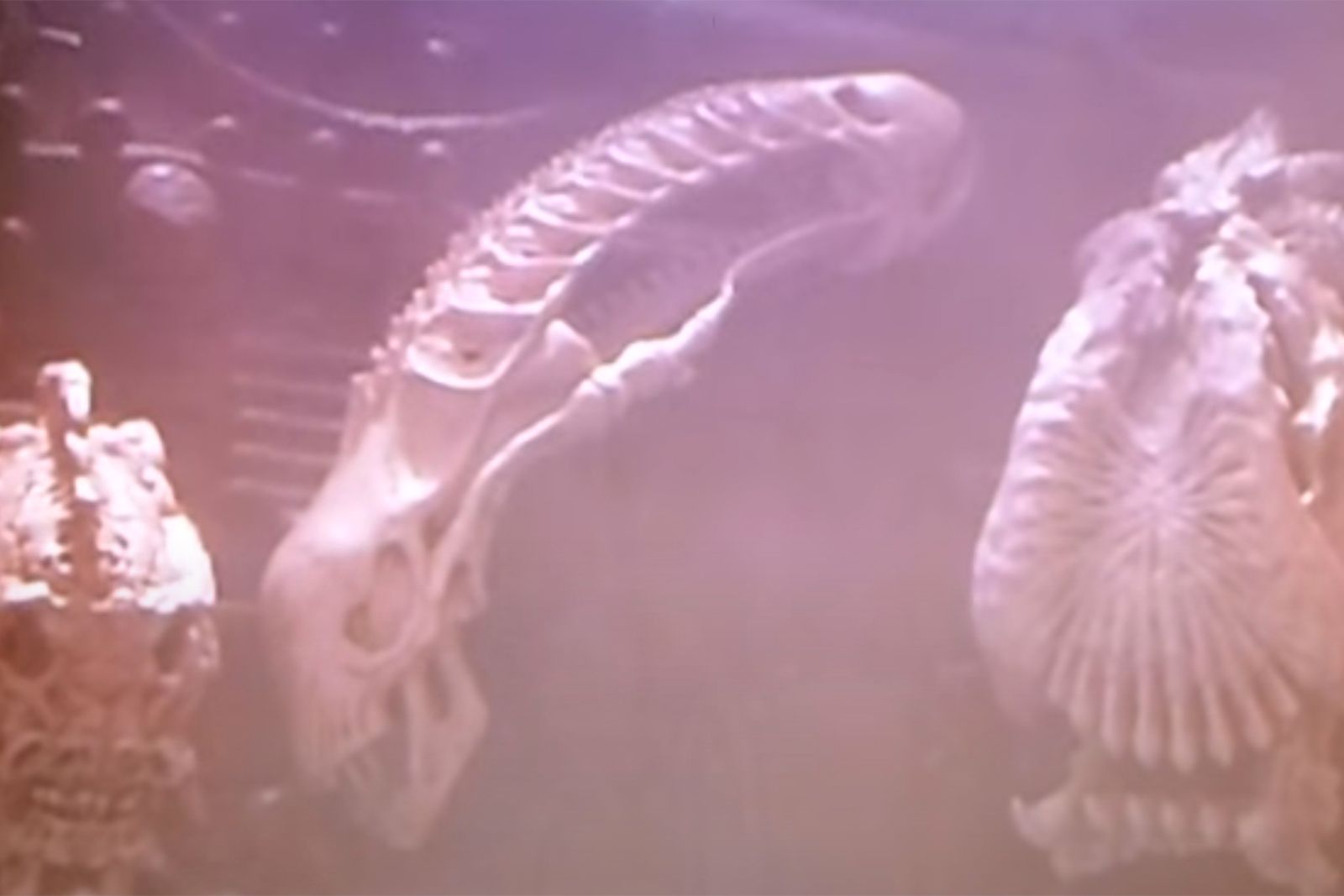 Alien Universe timeline: Alien, Predator, Prey, Blade Runner