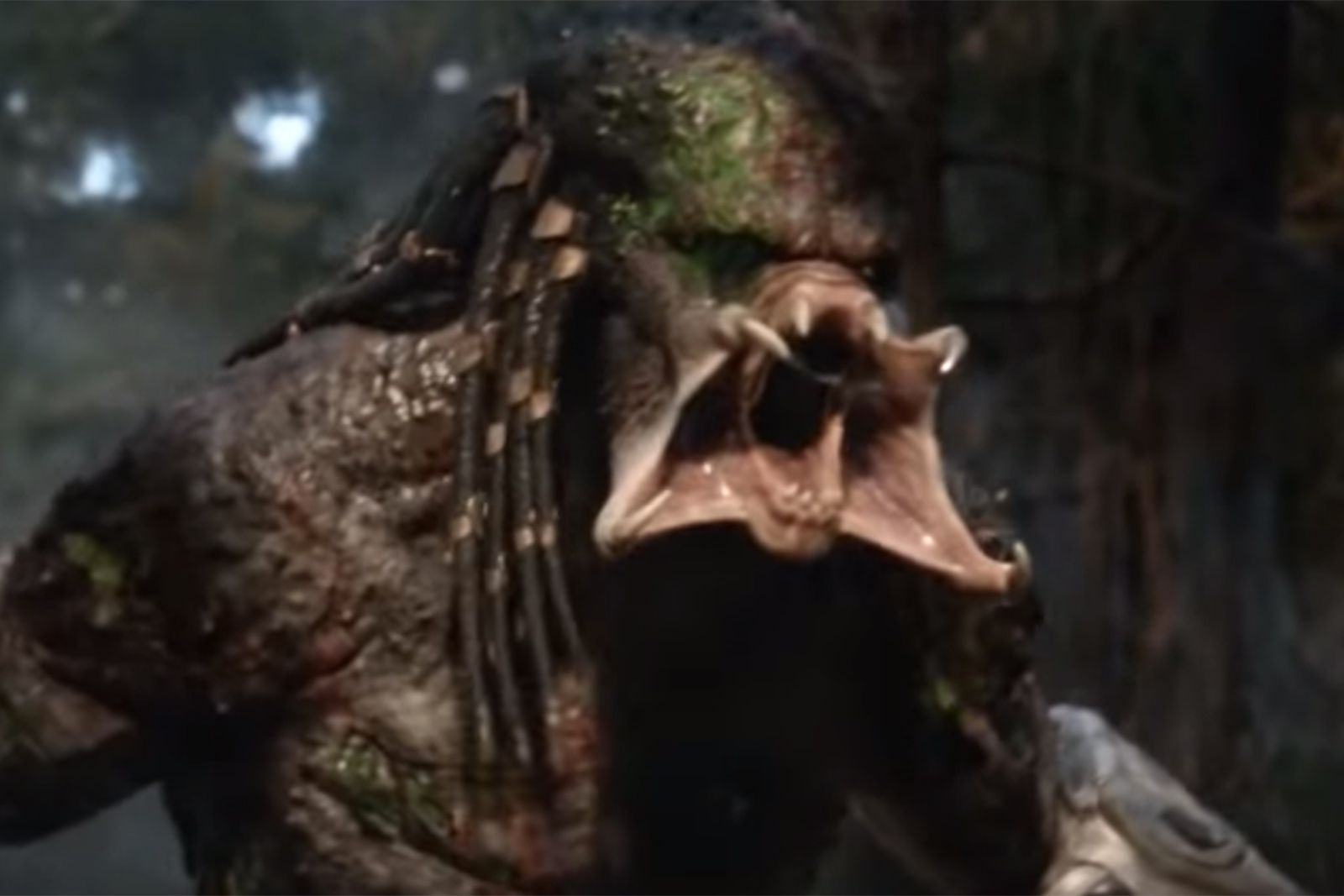 Predator Movies in Order: How to Watch Chronologically