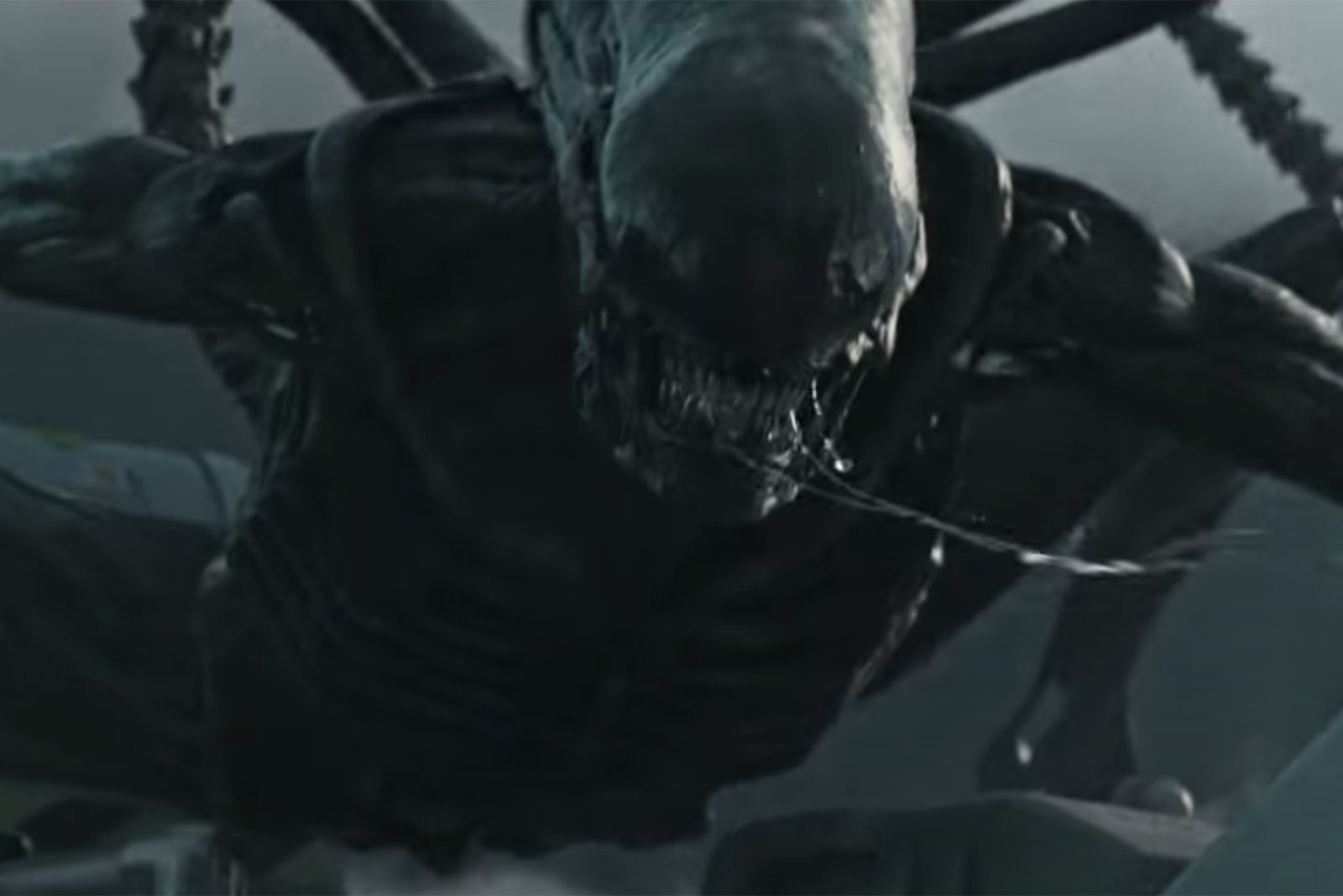 Whats The Best Order To Watch The Alien Universe Movies image 1