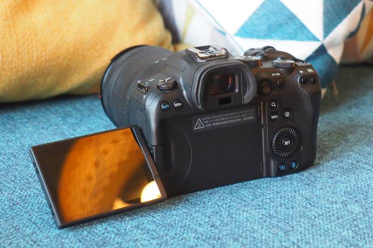 Canon EOS R6 review: Lower resolution, higher quality?