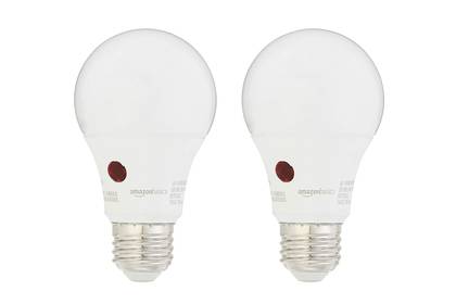 Best daylight LED bulbs 2024