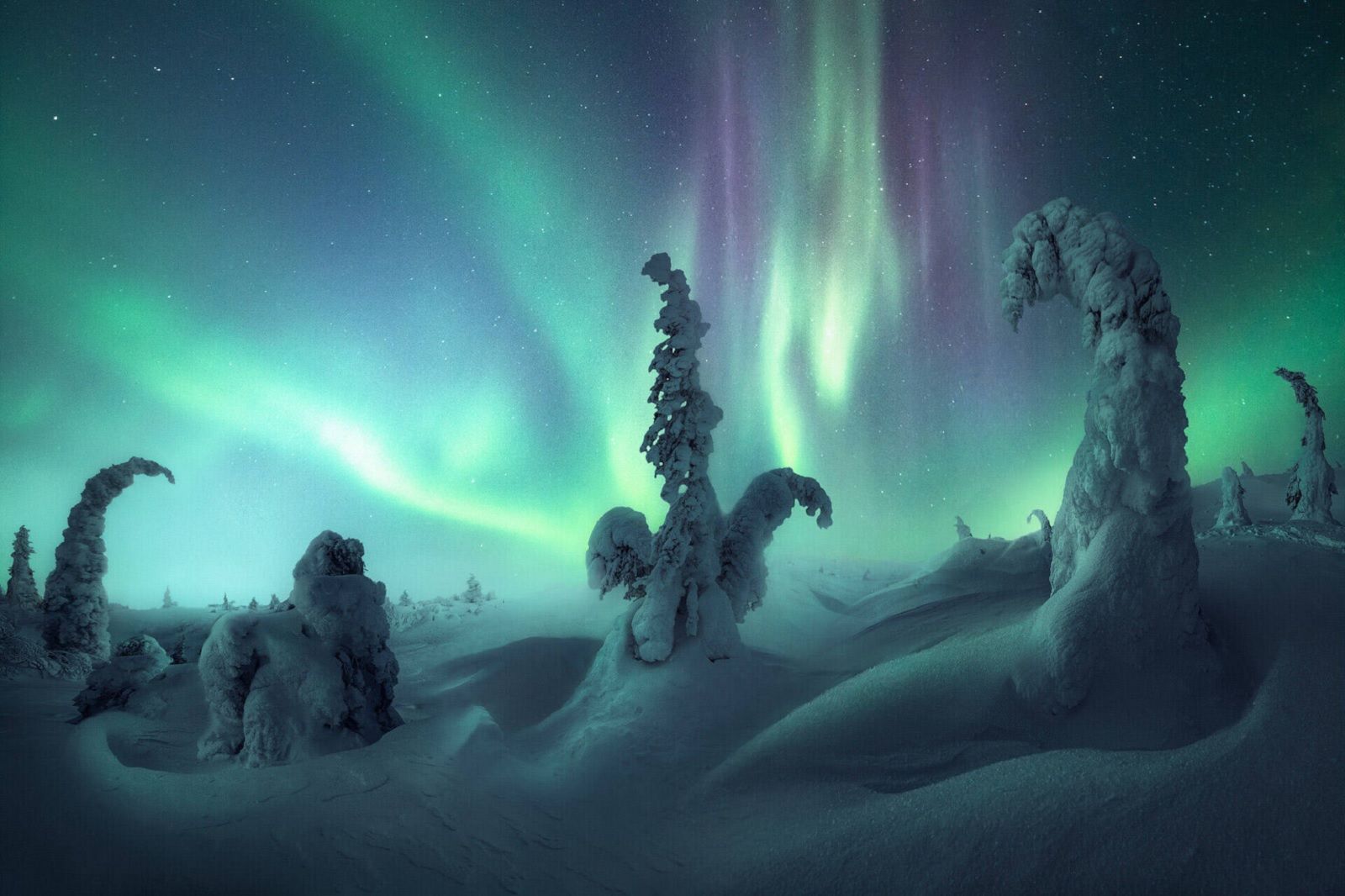 Epic images from the Northern Lights Photographer of the Year