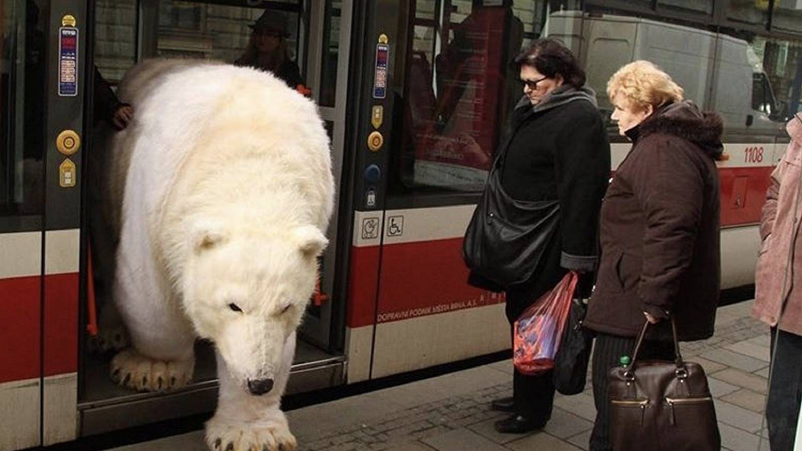 34 intriguing images that need further explanation