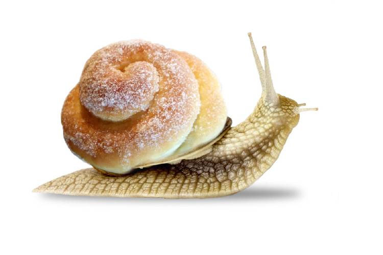 These Photoshop artists have turned pets into delicious foodstuffs photo 2