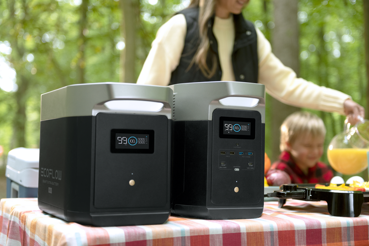 EcoFlow's portble power station is perfect for home and away