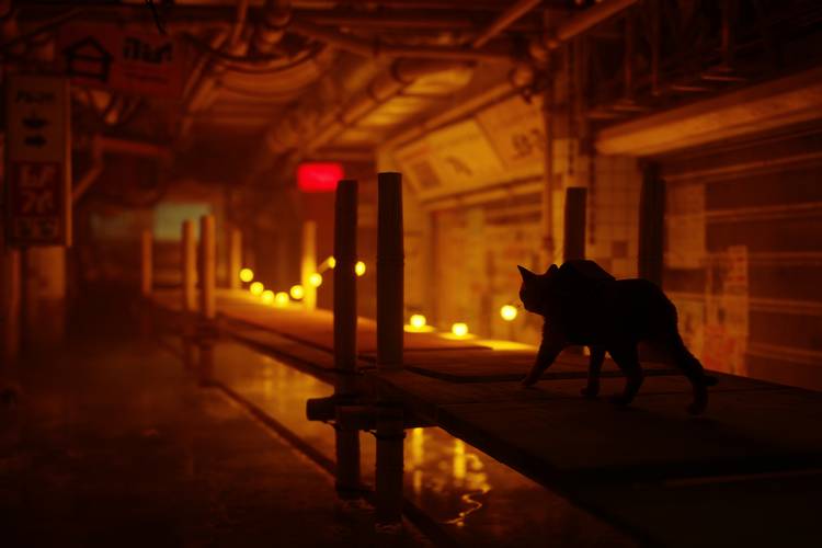 Stray review: Everybody wants to be a cat