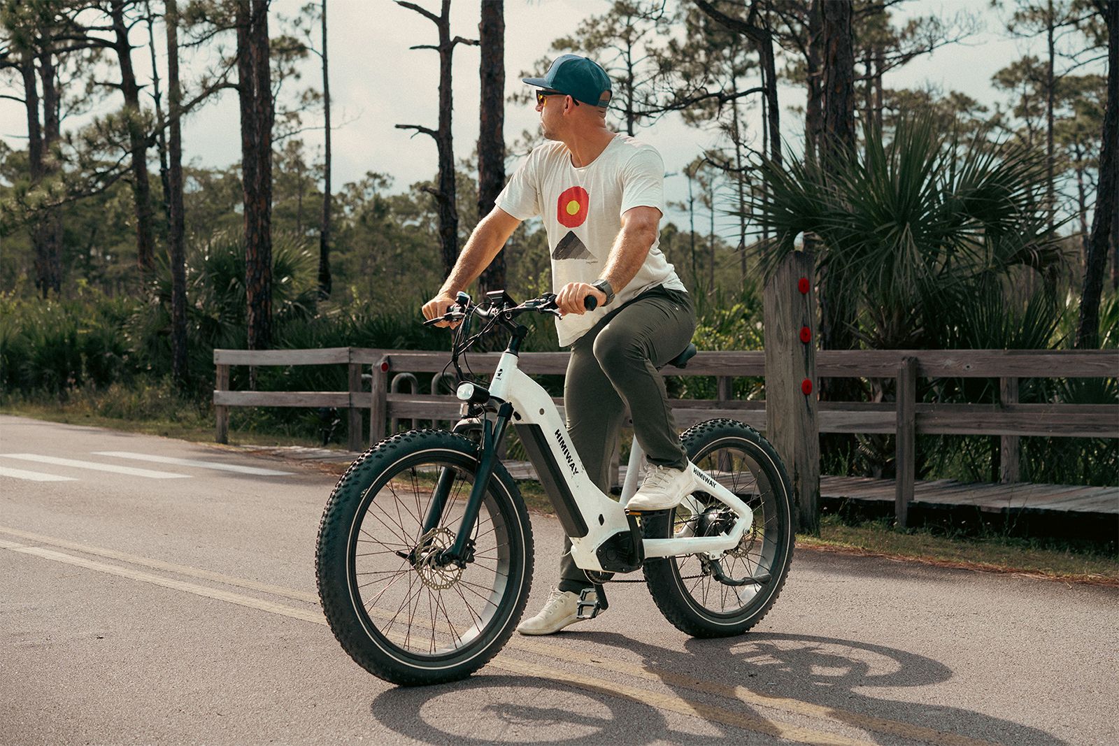 zebra electric bicycle Himiway D5 Pro ST 48V 500W 20 MPH Step-Thru 26" Fat Tire New eliminating up to 98% of common mechanical failures Himiway Zebra D5 - Premium