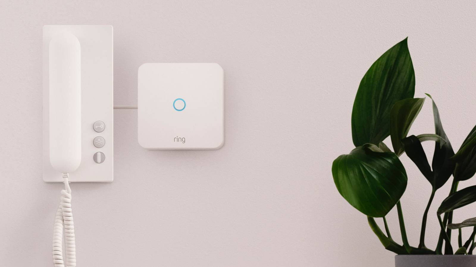 Impro Entry Phone Ring Intercom adds smarts to an entry phone system