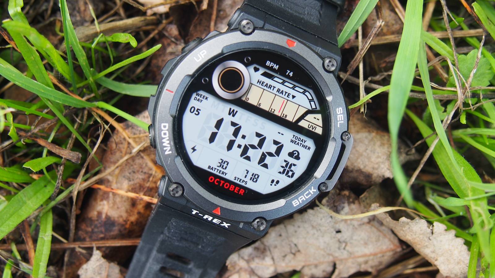 t rex amazfit blood oxygen