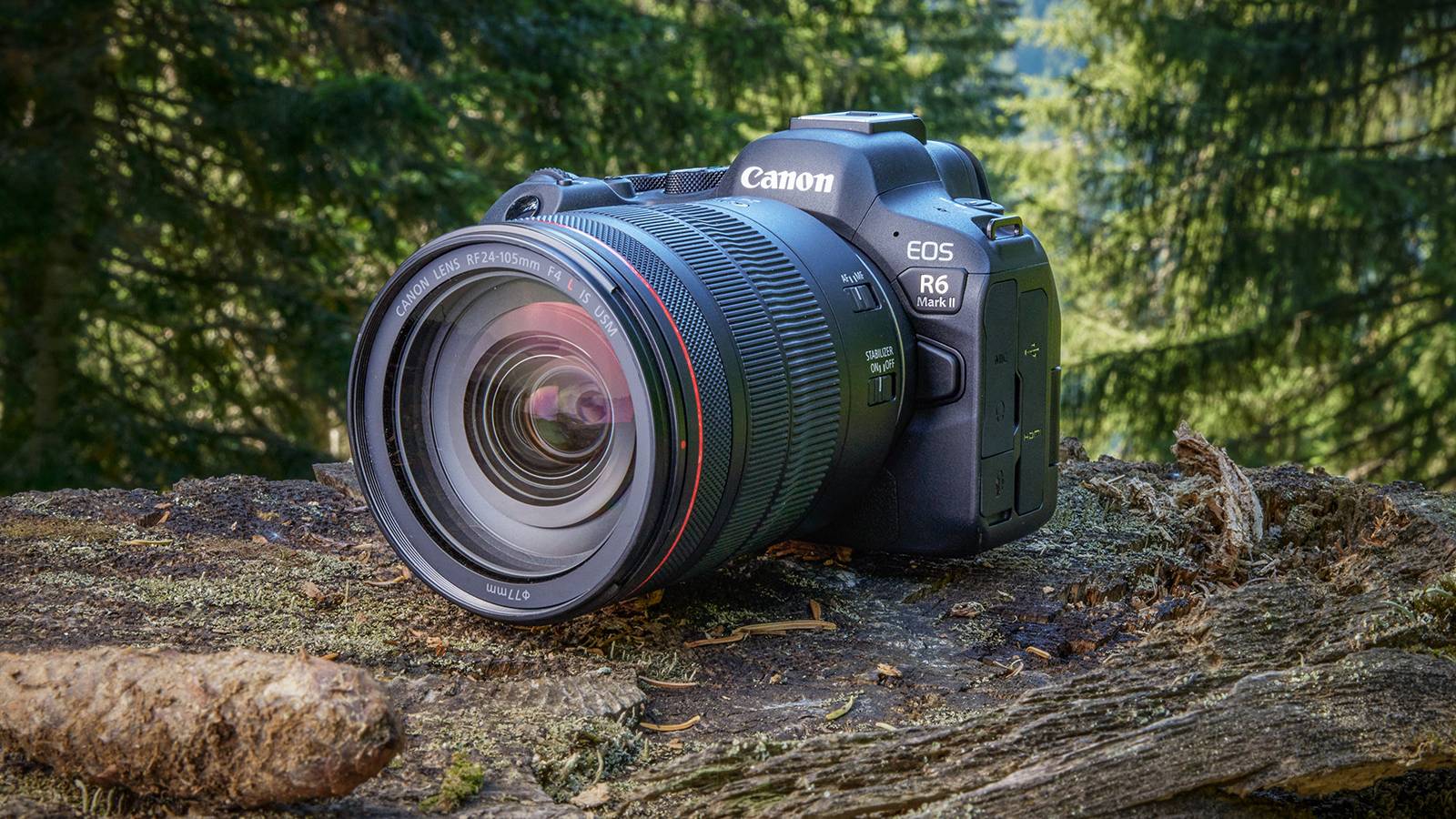 “Canon EOS R6 Mark II best camera for wedding photography”