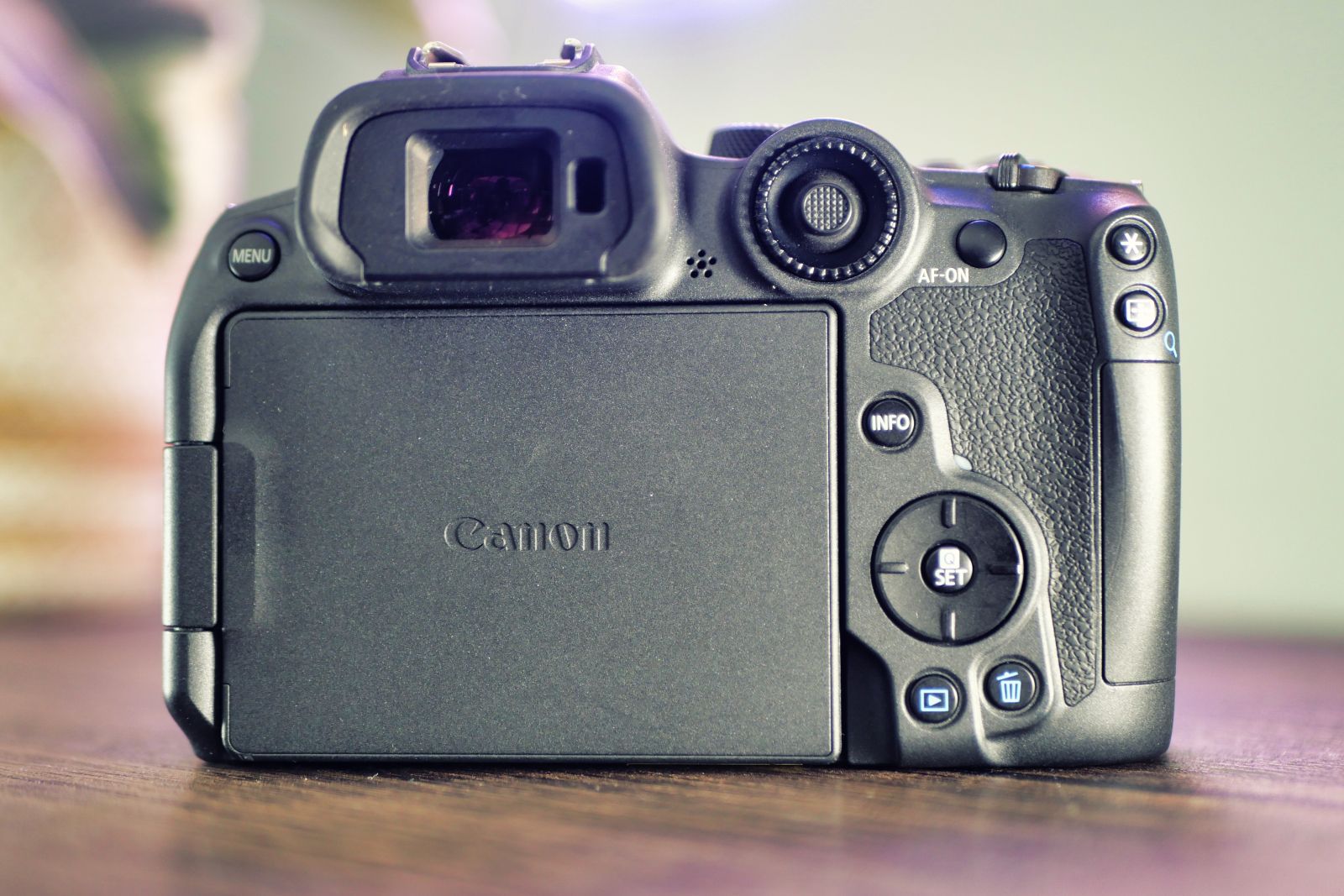 Best Canon cameras 2024