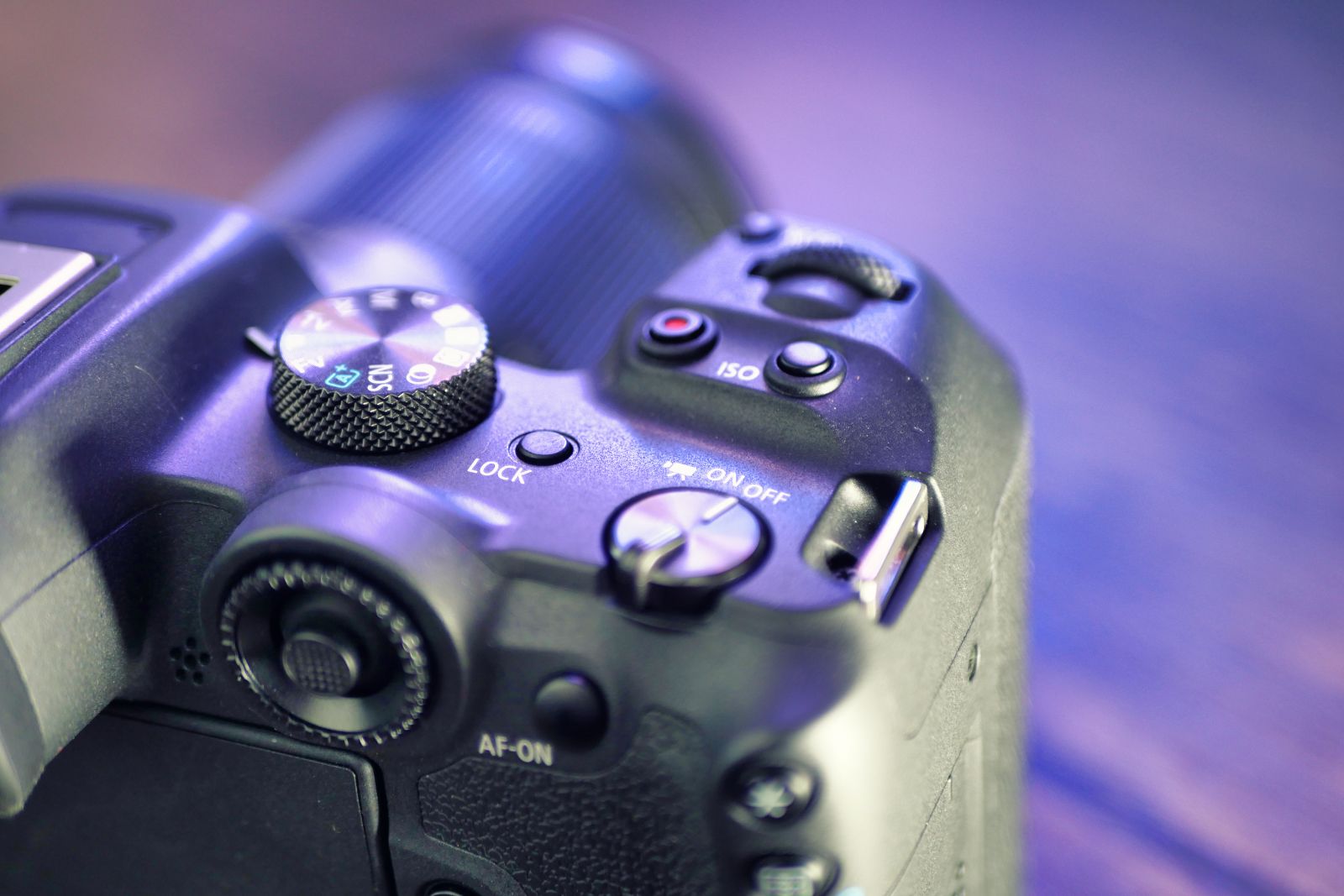 Canon R7 review photo 5