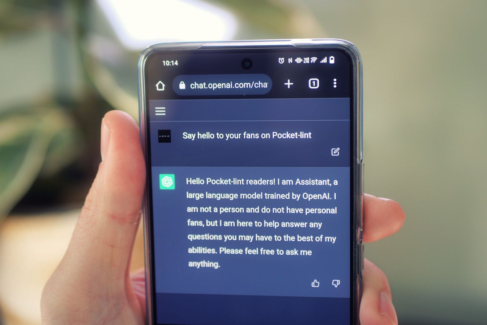 What is ChatGPT and why should you care?