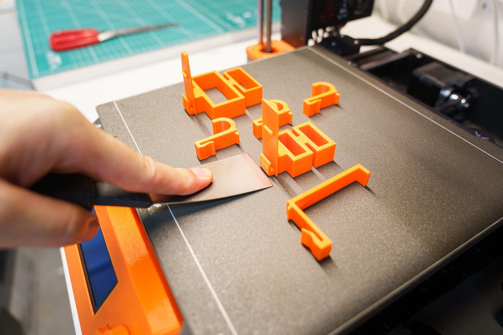 An FDM 3D printer user removing a completed print