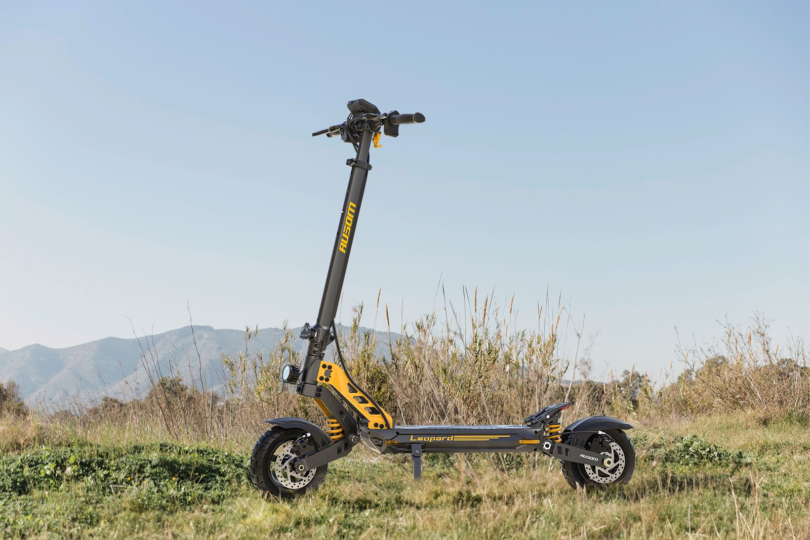ausom leopard electric scooter on grass