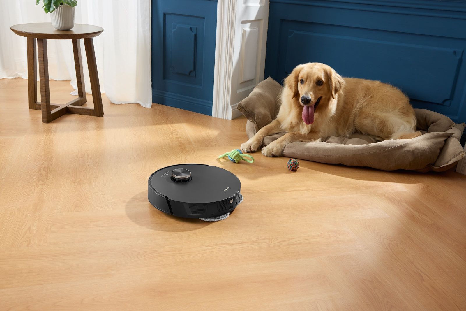 dreamebot l20 ultra on wooden floor next to dog in its bed