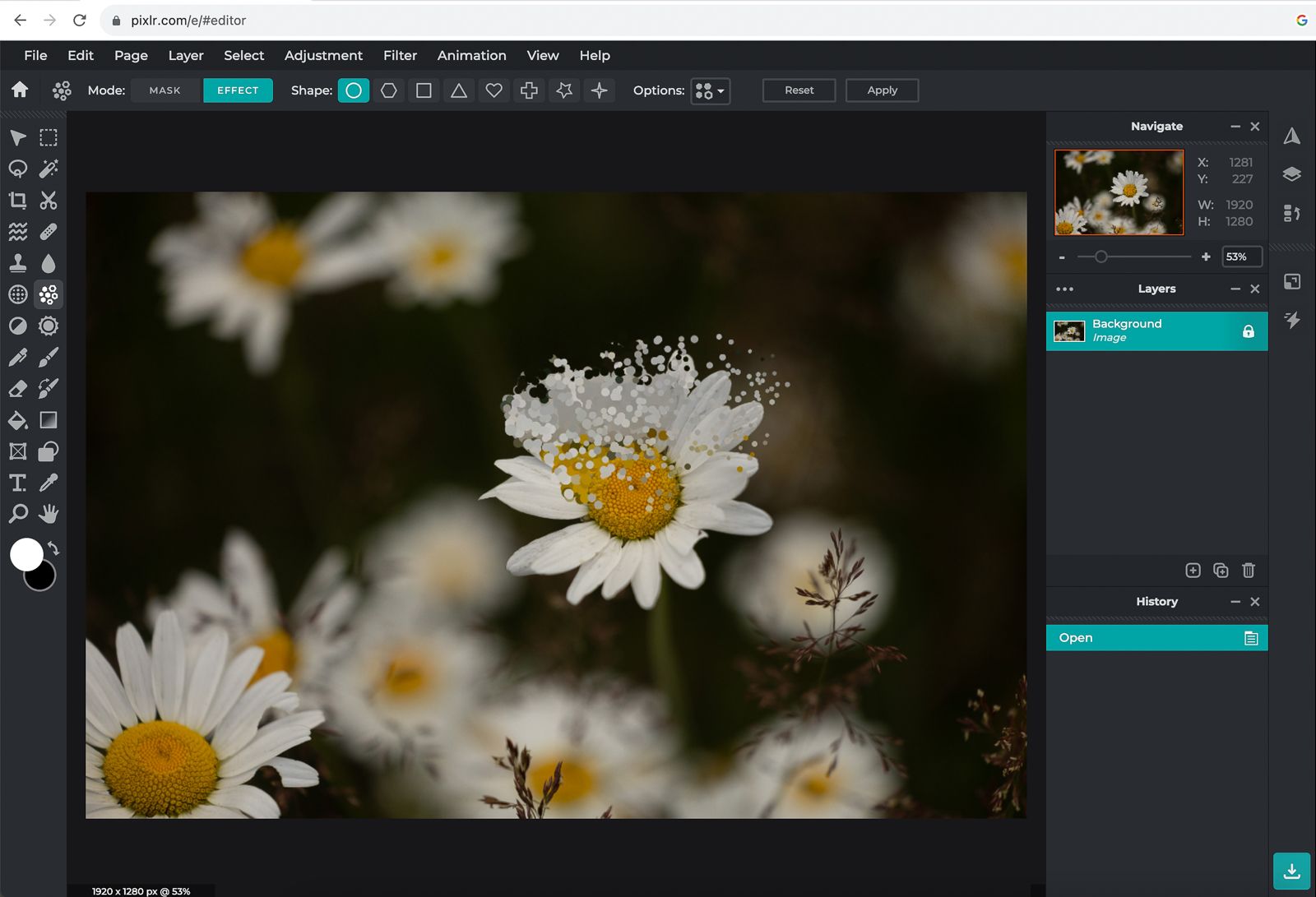 7 free Photoshop alternatives for quick and easy photo fixes