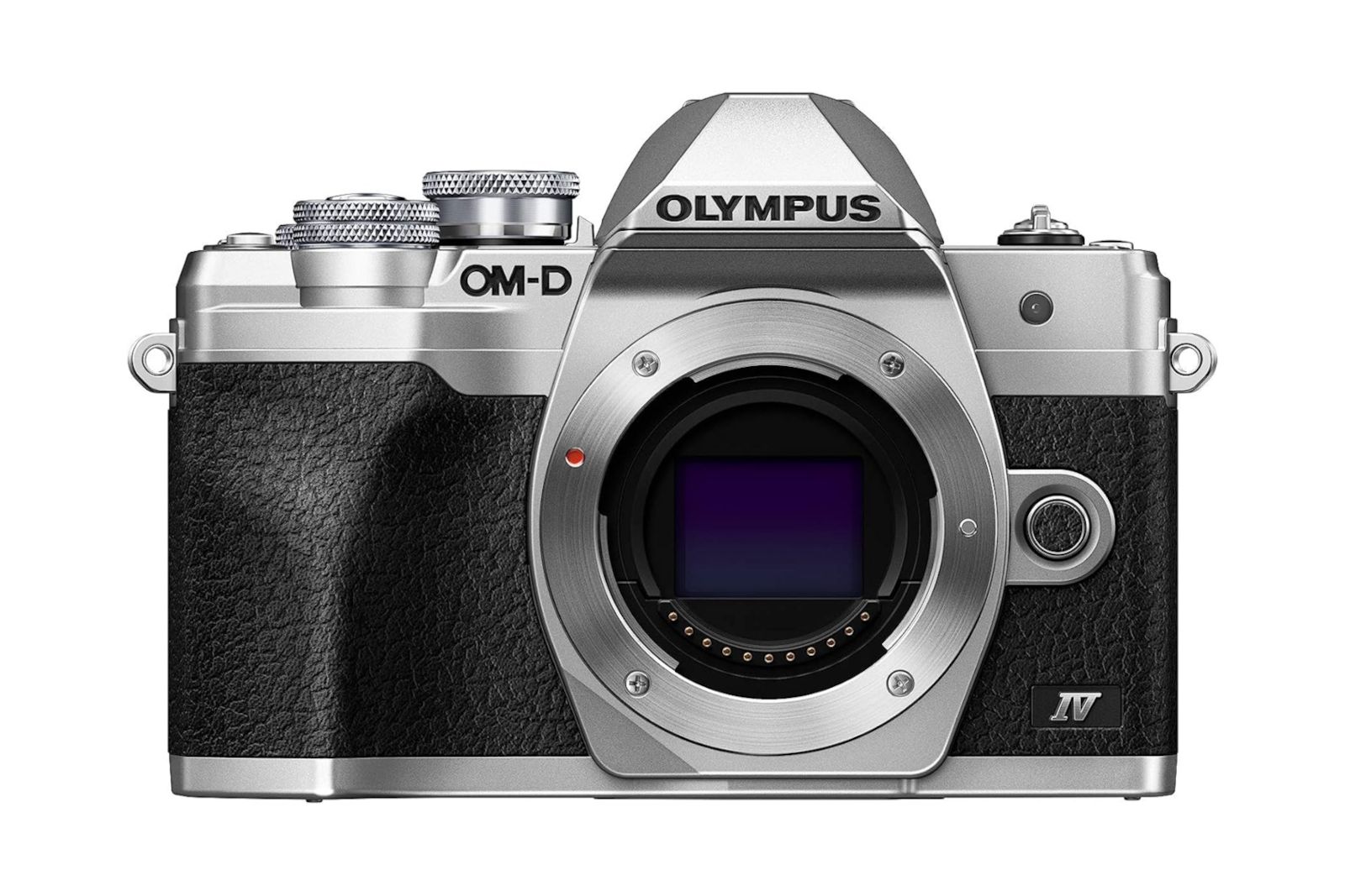 Best micro four thirds cameras 2024
