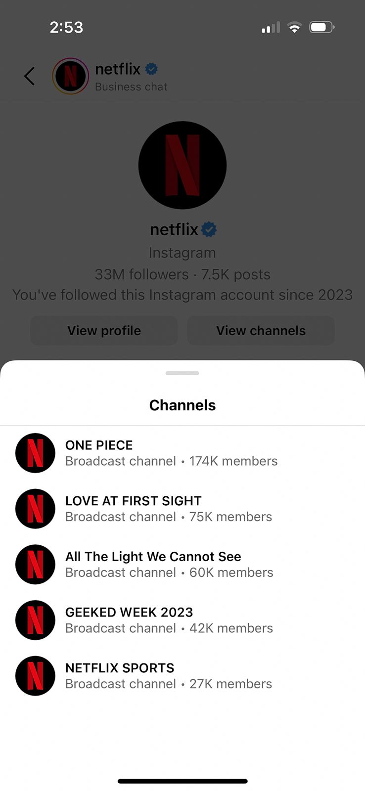 What Are Facebook and Instagram Broadcast Channels?