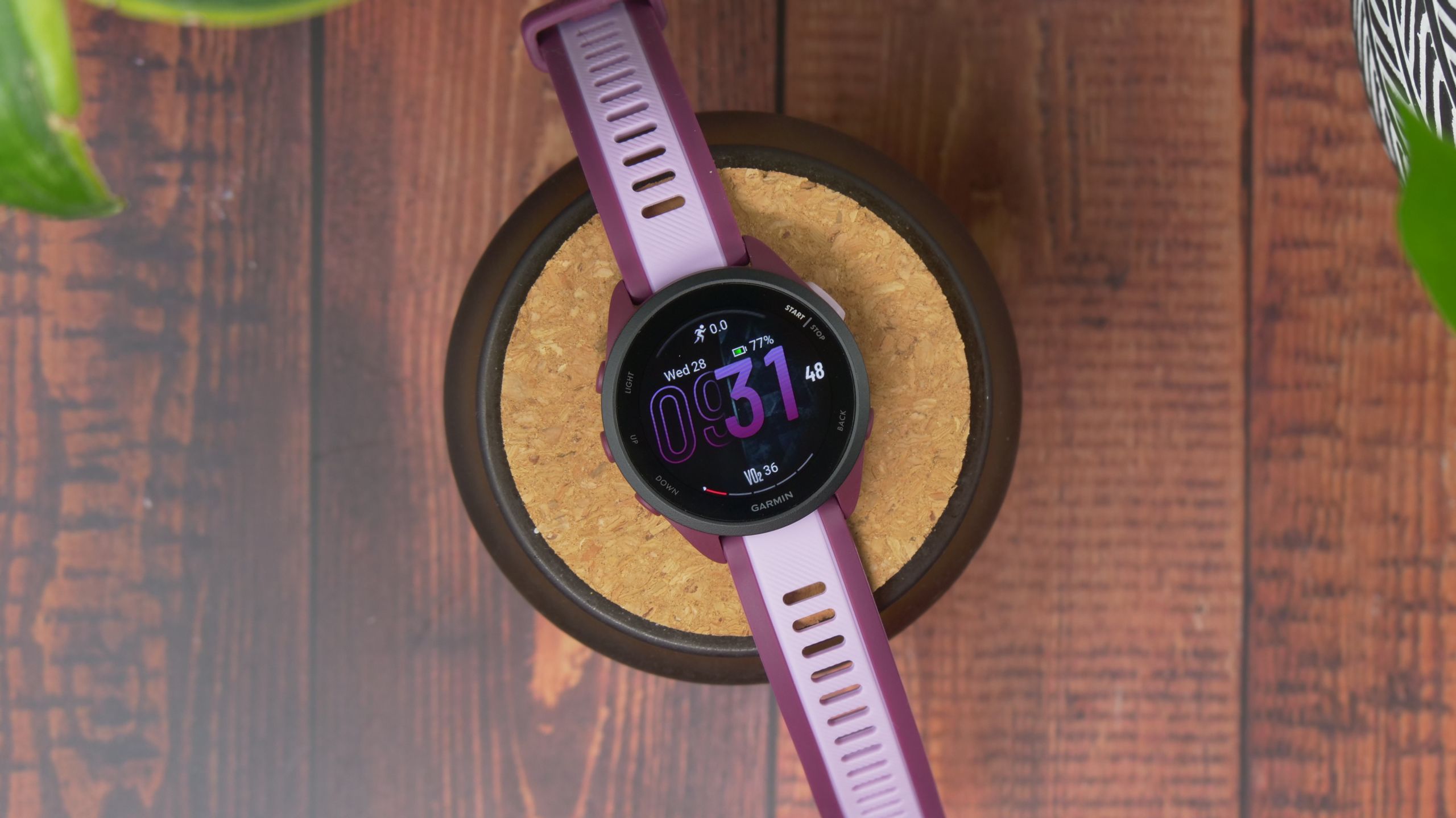 Garmin Forerunner 165 vs Forerunner 55
