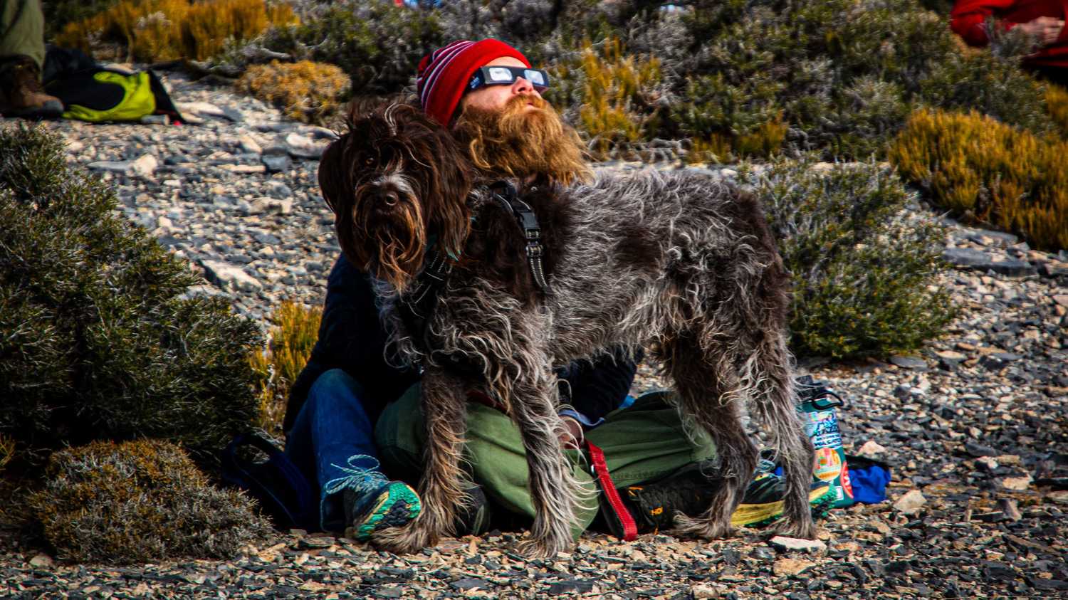 Person viewing the Eclipse wearing eclipse glasses