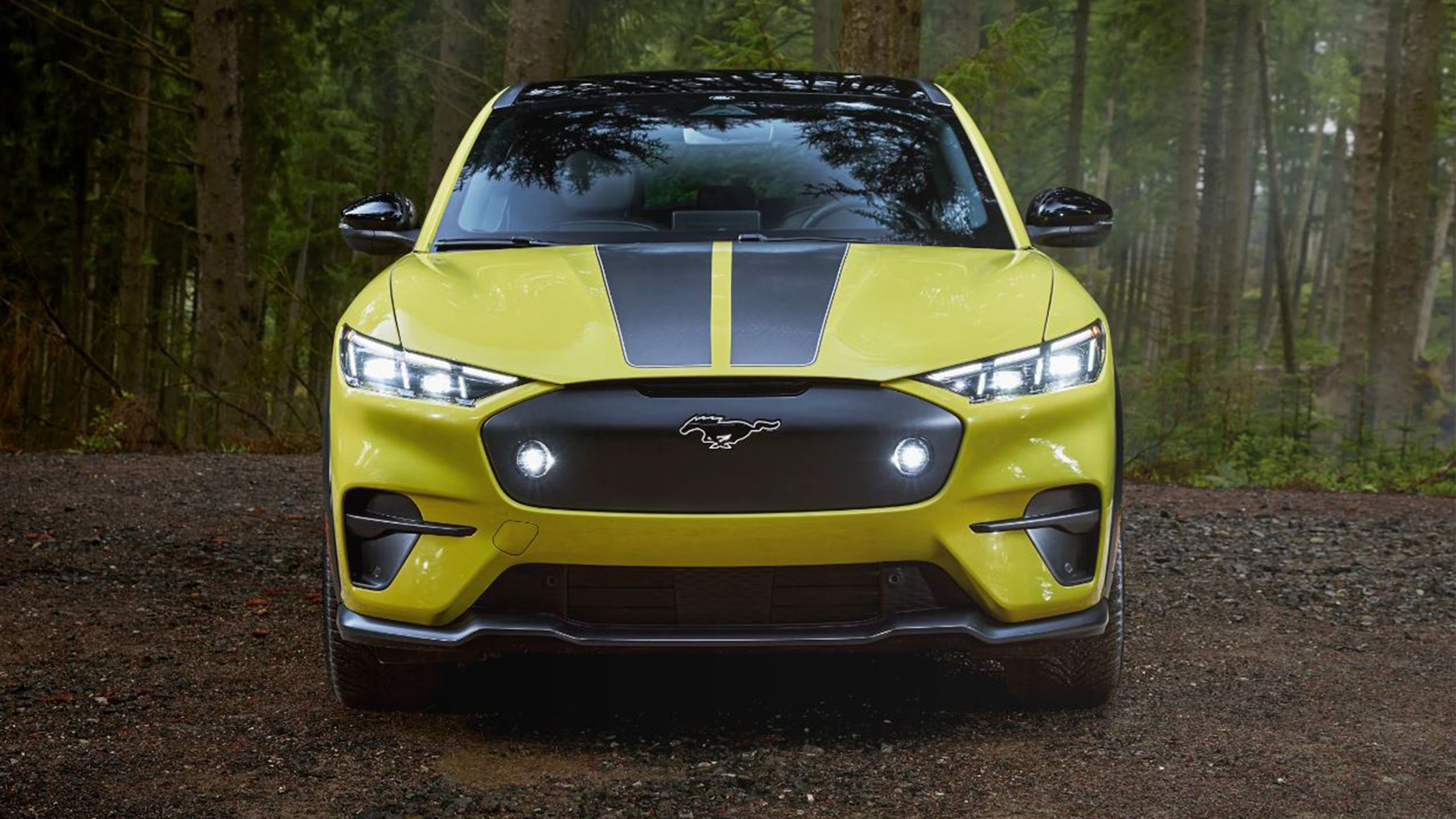 A 2024 Ford Mustang Mach-e in yellow Rally trim. 