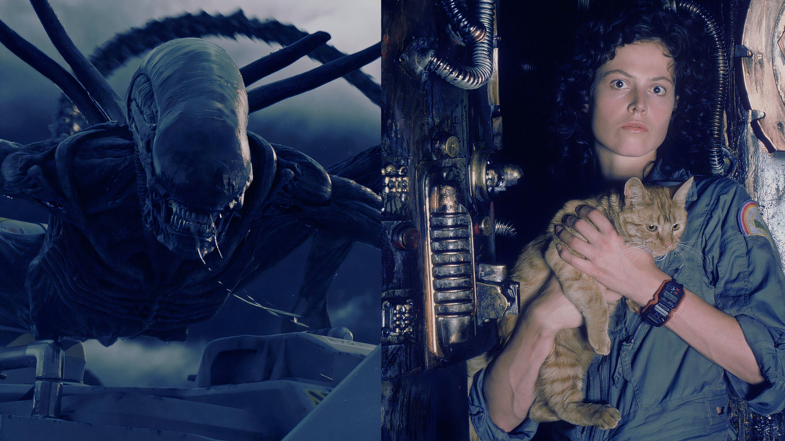 where aliens moveis are streaming