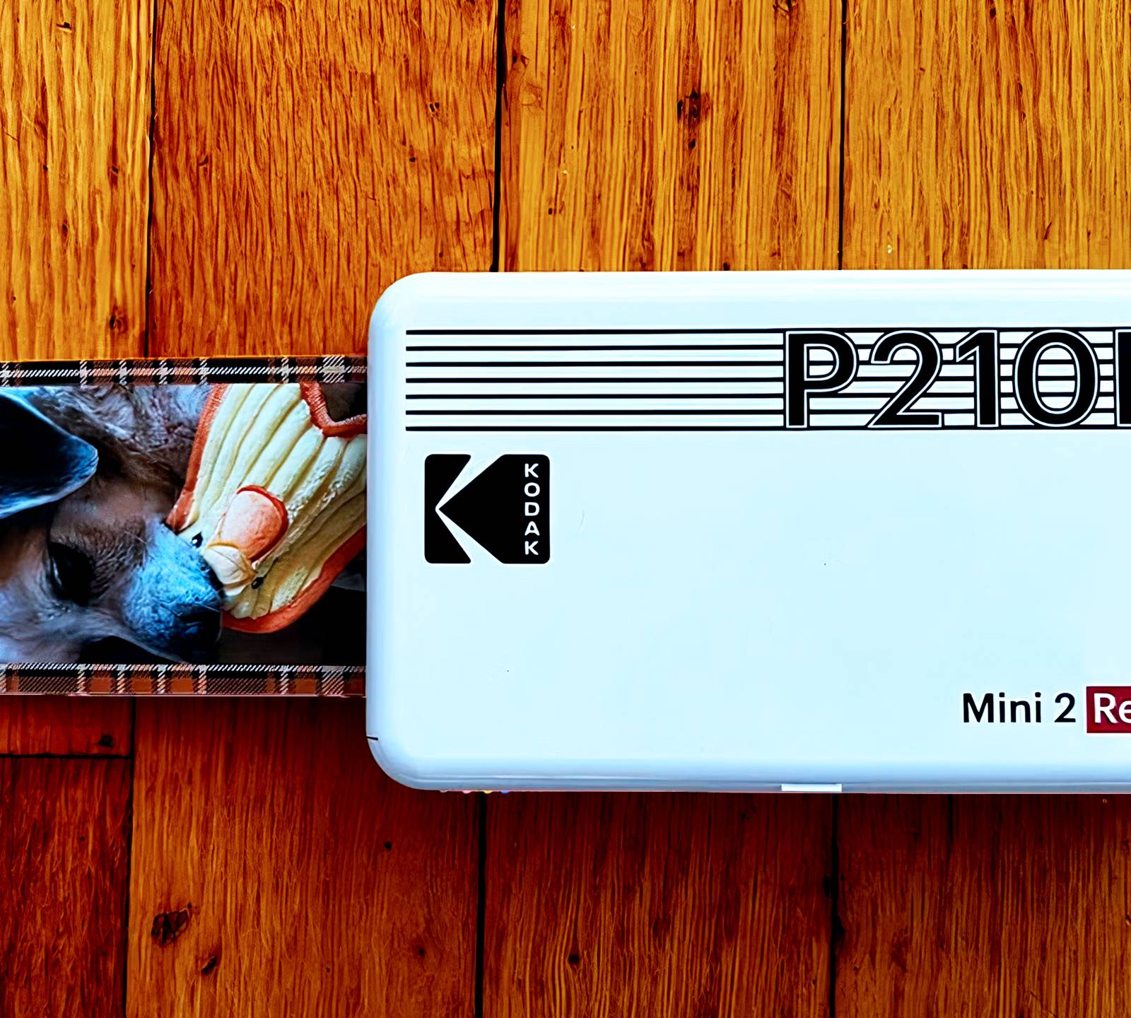 Kodak Mini RetroPhoto Printer review: Portable physical memories