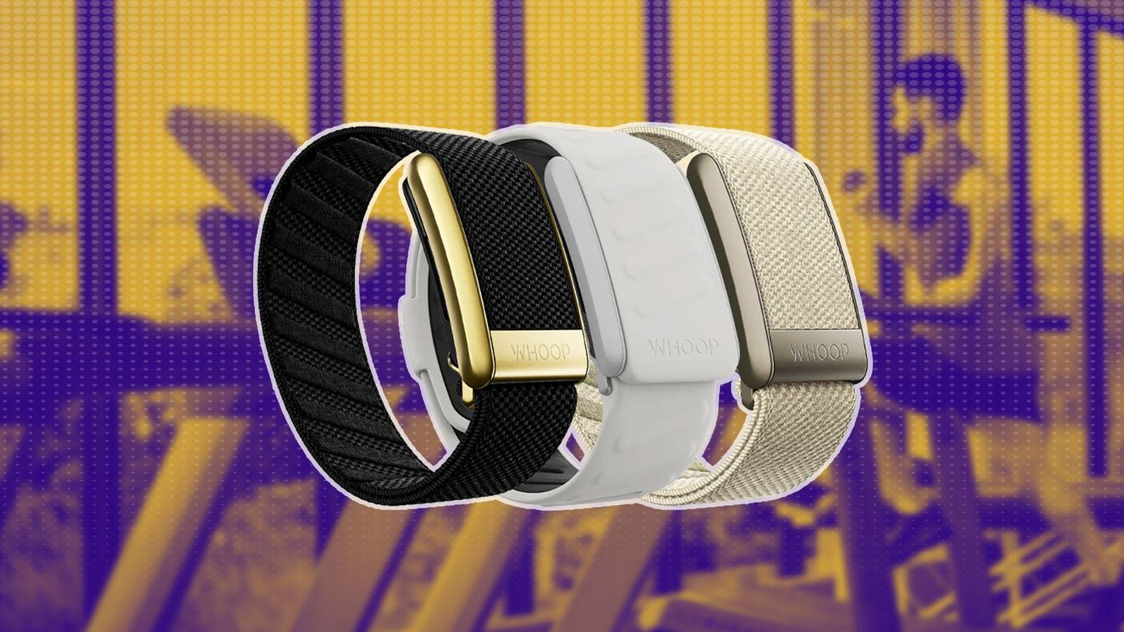 Fight Watch Never Back Down Full Movie Reasons To Get A Whoop Band