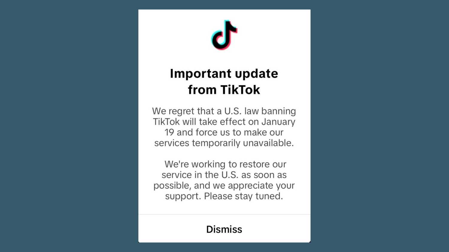 TikTok is back online already