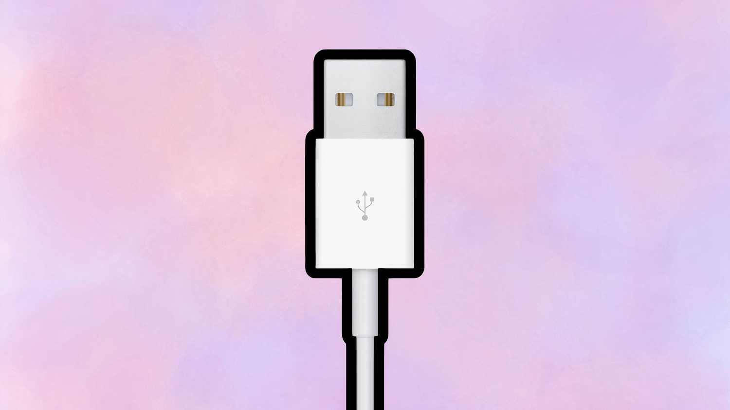 USB Type-A Apple