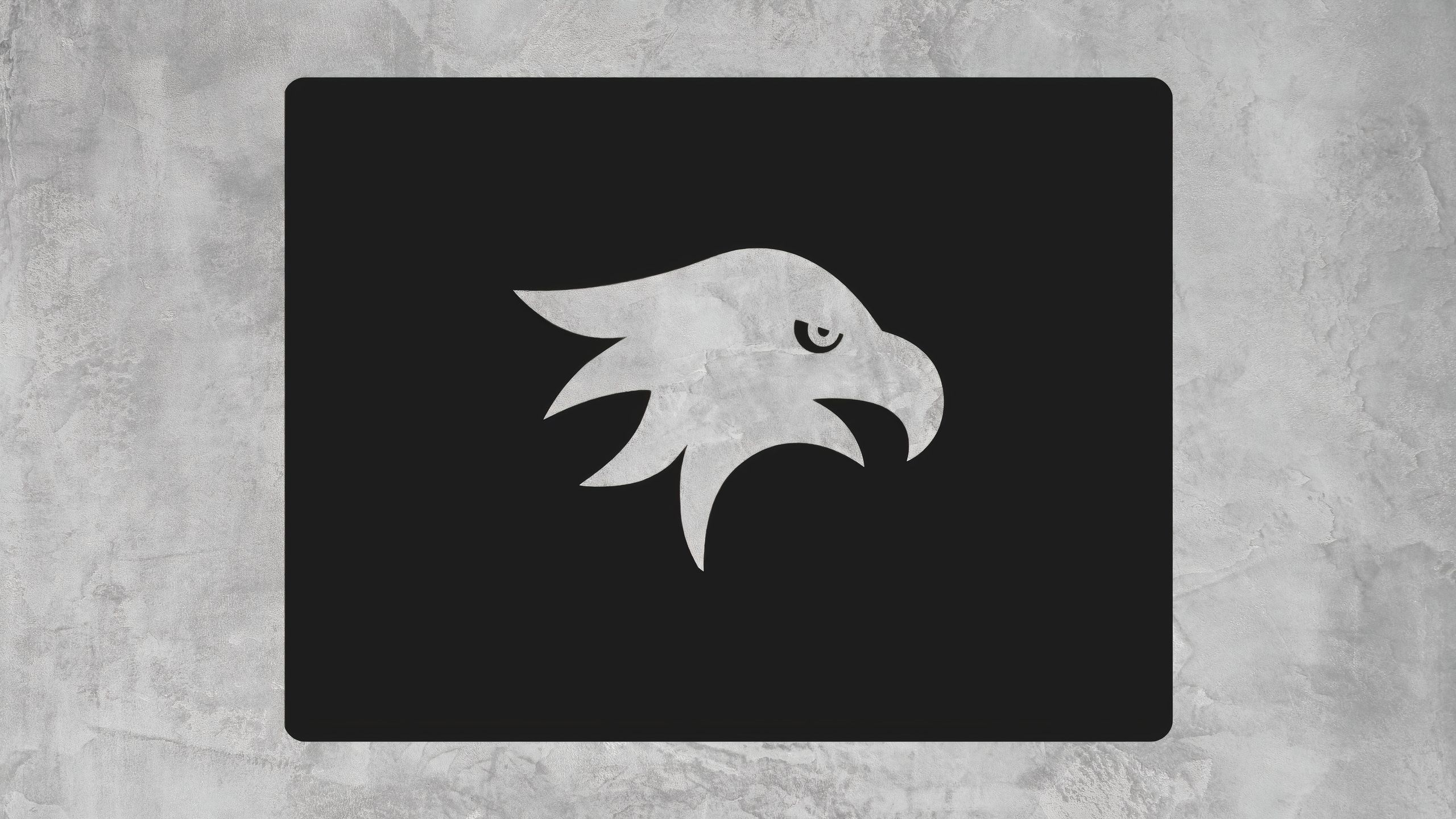 Windhawk logo header image